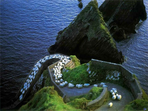 Con đường nổi tiếng với tên gọi Cao tốc Cừu (Sheep Highway).