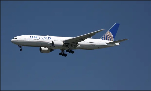 Mỹ: Rắn xuất hiện trên khoang thương gia của United Airlines - Ảnh 1.