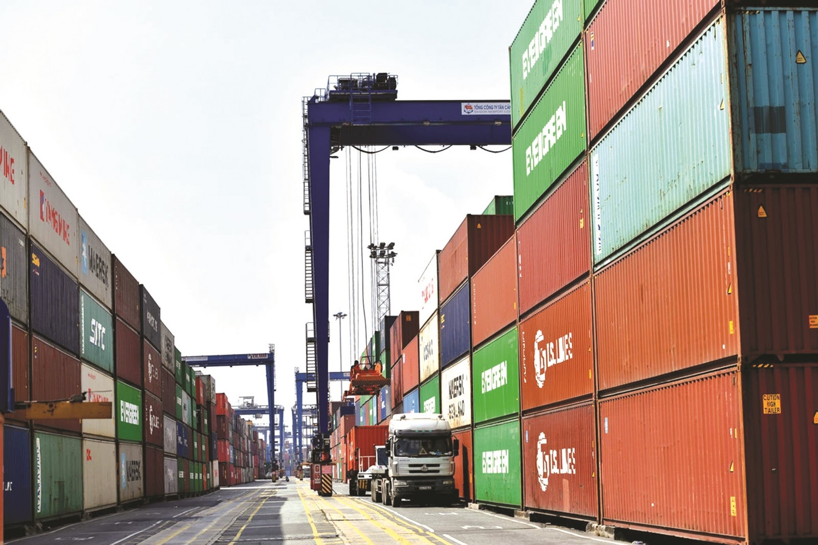 Xu hướng quản lý xanh và việc áp dụng mô hình “cảng xanh” tại Tân Cảng Cát Lái - Ảnh 1.