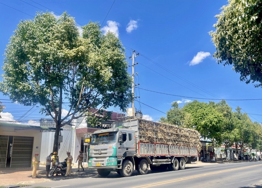 Doanh nghiệp, nhà xe ở Đắk Lắk cam kết chở mía đúng tải trọng - Ảnh 2.