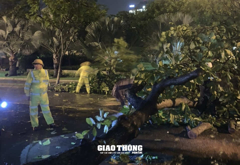 CSGT, Thanh tra GTVT Đà Nẵng, Quảng Nam &quot;trắng đêm&quot; trong mưa bão, dọn cây đổ, hướng dẫn giao thông - Ảnh 12.