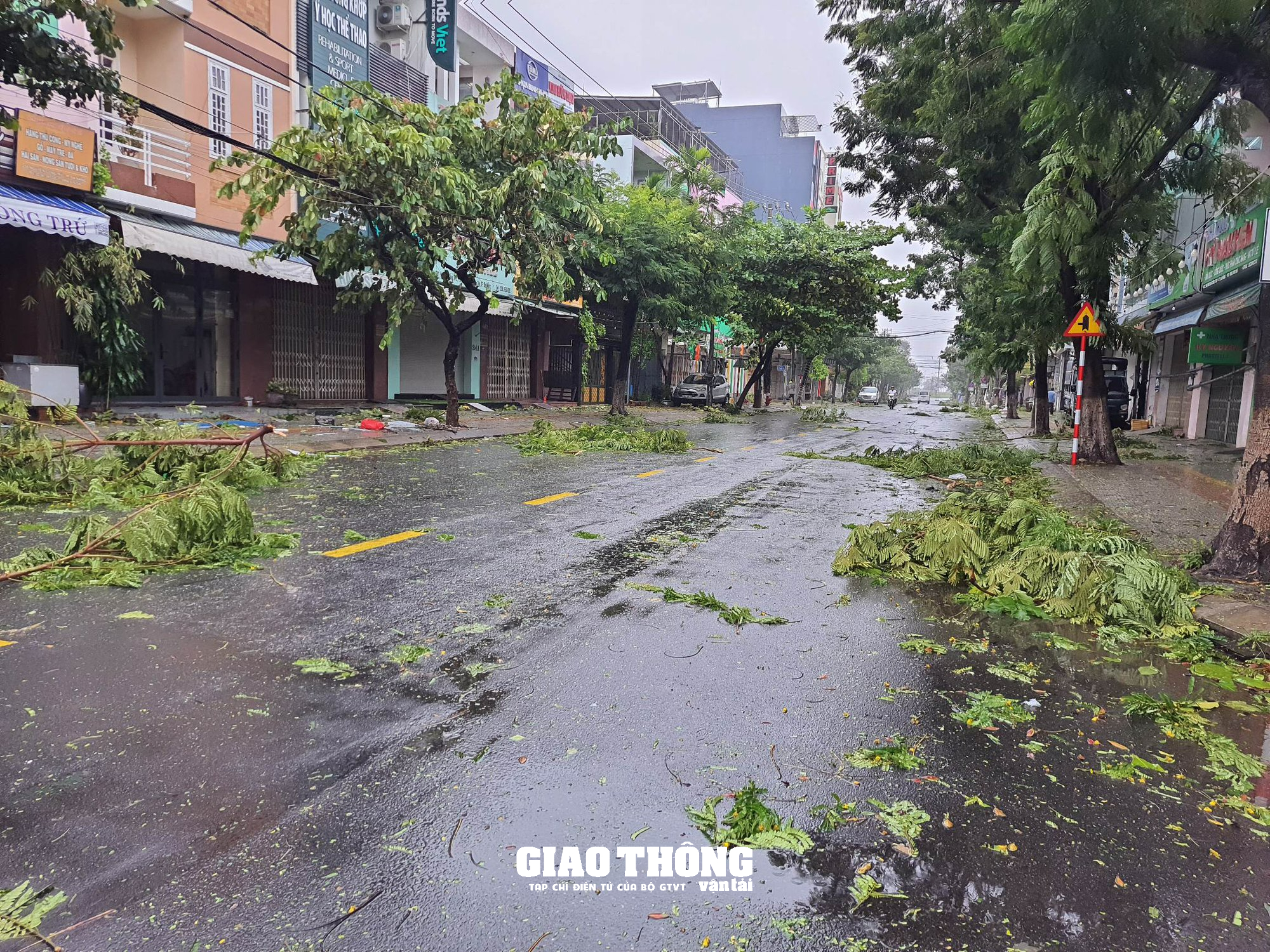 Ghi ở tâm bão Đà Nẵng-Quảng Nam: Cây xanh ngã đổ la liệt, gây ách tắc giao thông - Ảnh 16.