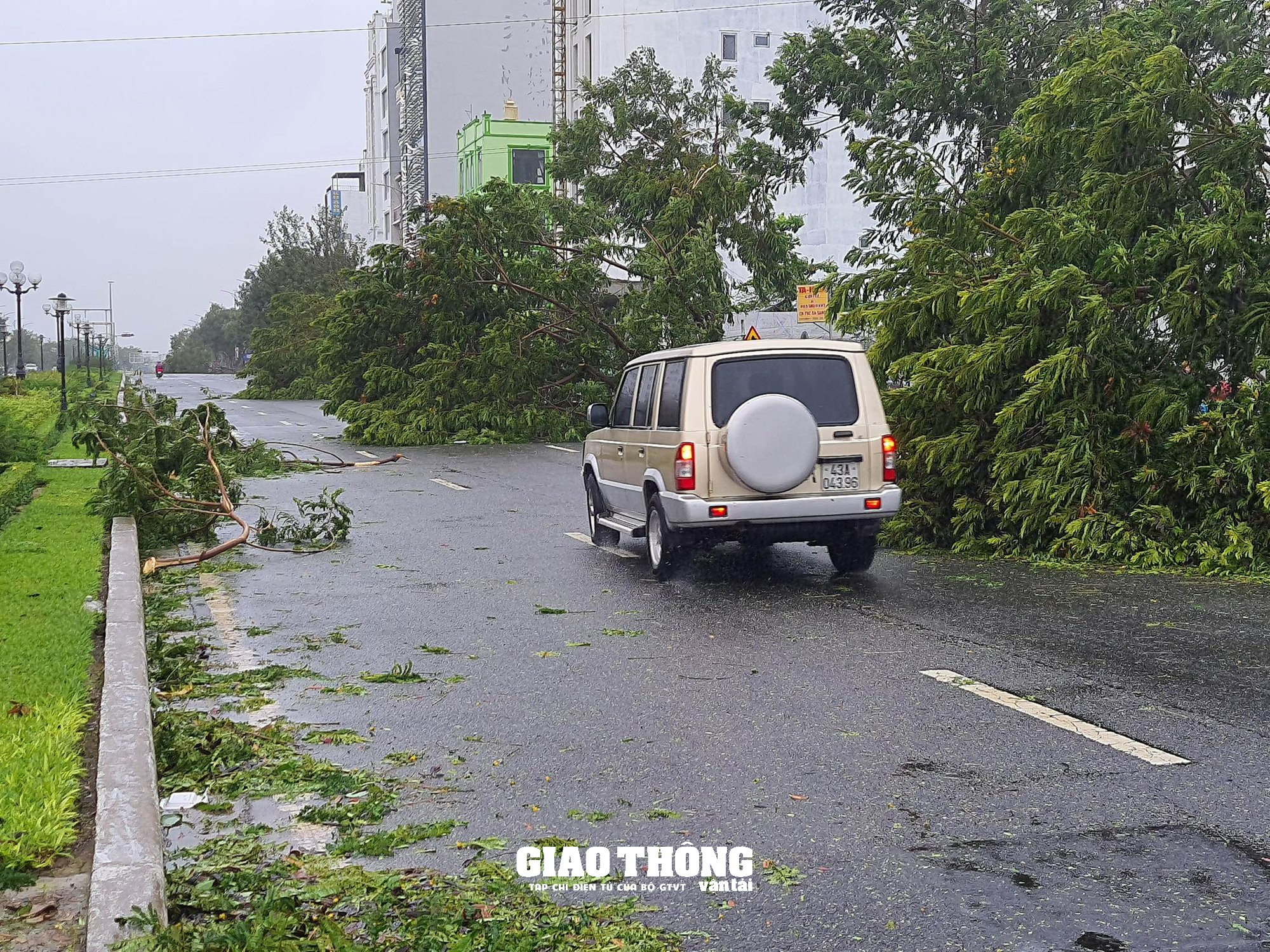 Ghi ở tâm bão Đà Nẵng-Quảng Nam: Cây xanh ngã đổ la liệt, gây ách tắc giao thông - Ảnh 9.