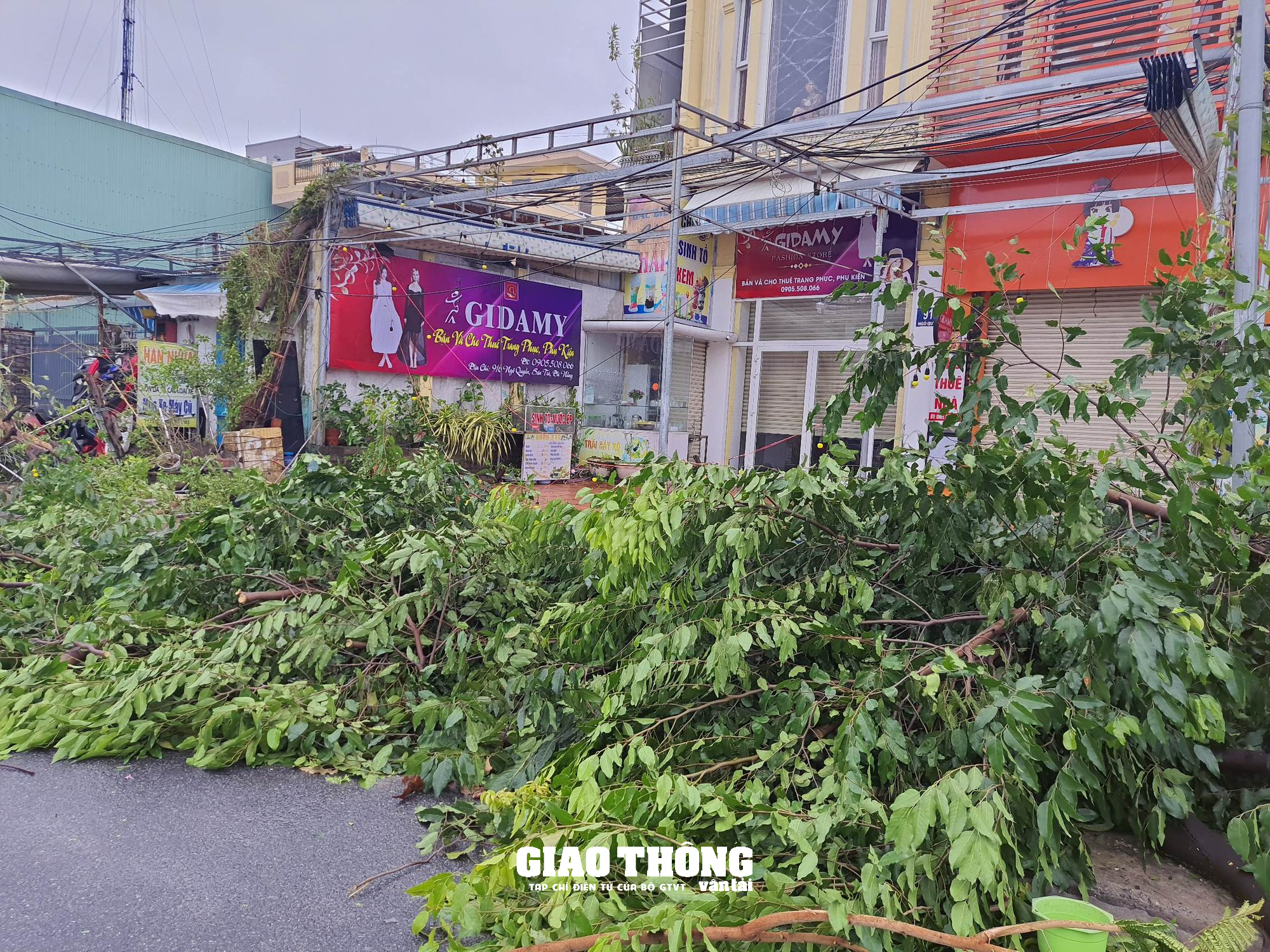 Ghi ở tâm bão Đà Nẵng-Quảng Nam: Cây xanh ngã đổ la liệt, gây ách tắc giao thông - Ảnh 15.