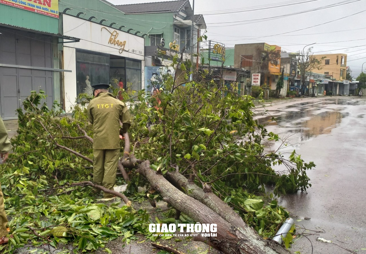 Ghi ở tâm bão Đà Nẵng-Quảng Nam: Cây xanh ngã đổ la liệt, gây ách tắc giao thông - Ảnh 3.