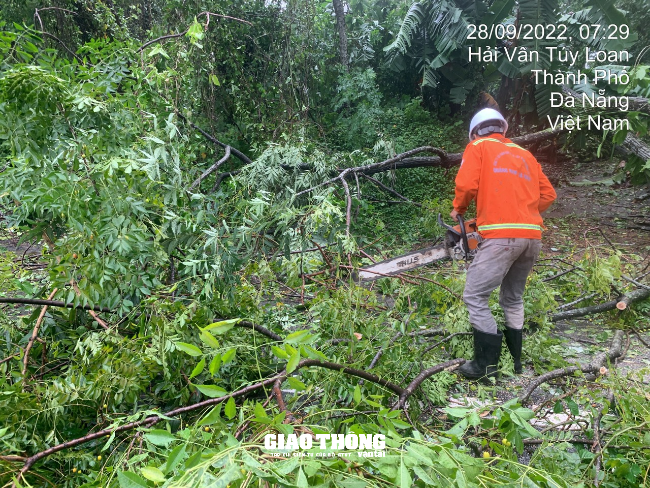Ghi ở tâm bão Đà Nẵng-Quảng Nam: Cây xanh ngã đổ la liệt, gây ách tắc giao thông - Ảnh 20.