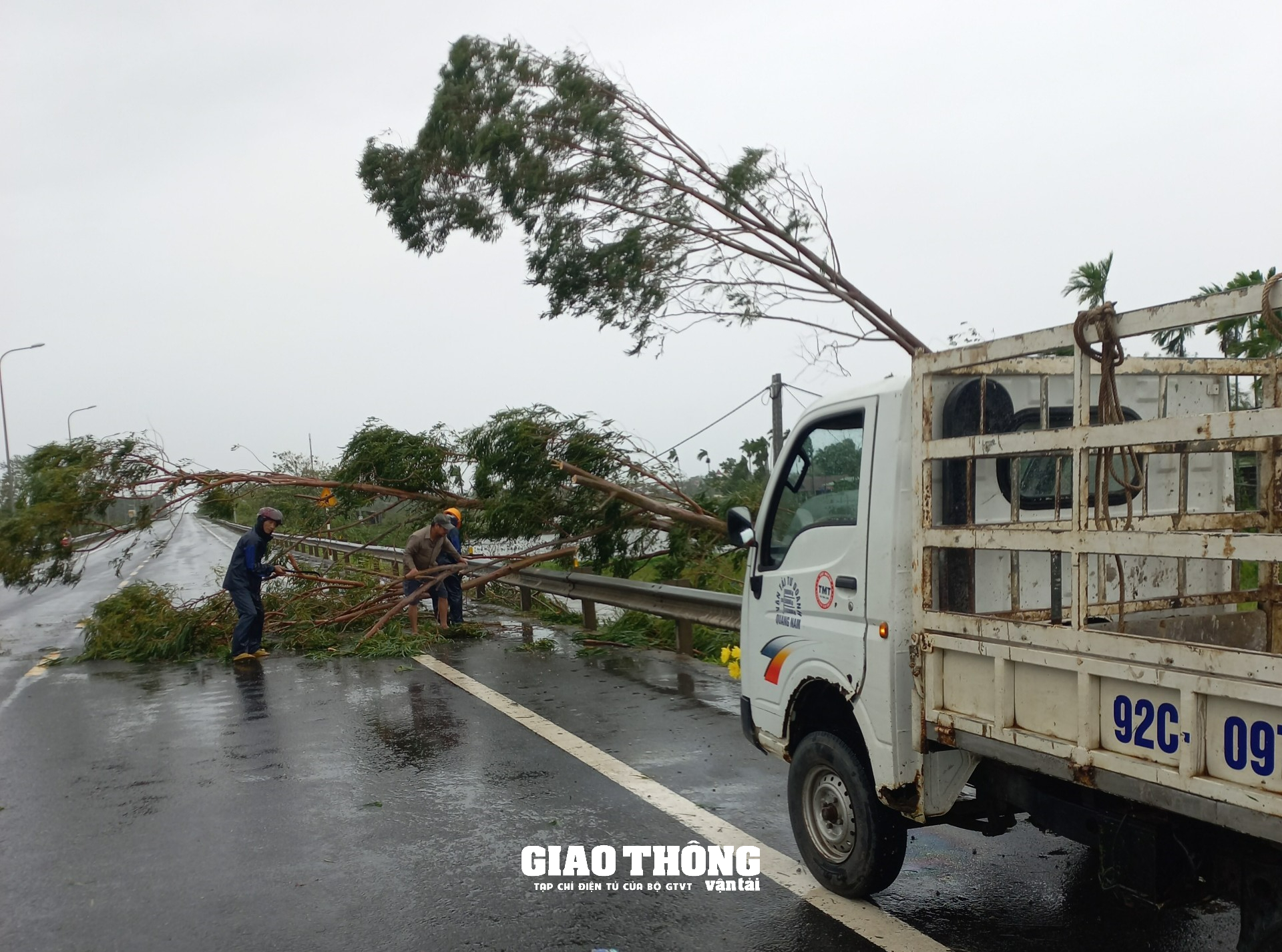 Ghi ở tâm bão Đà Nẵng-Quảng Nam: Cây xanh ngã đổ la liệt, gây ách tắc giao thông - Ảnh 7.