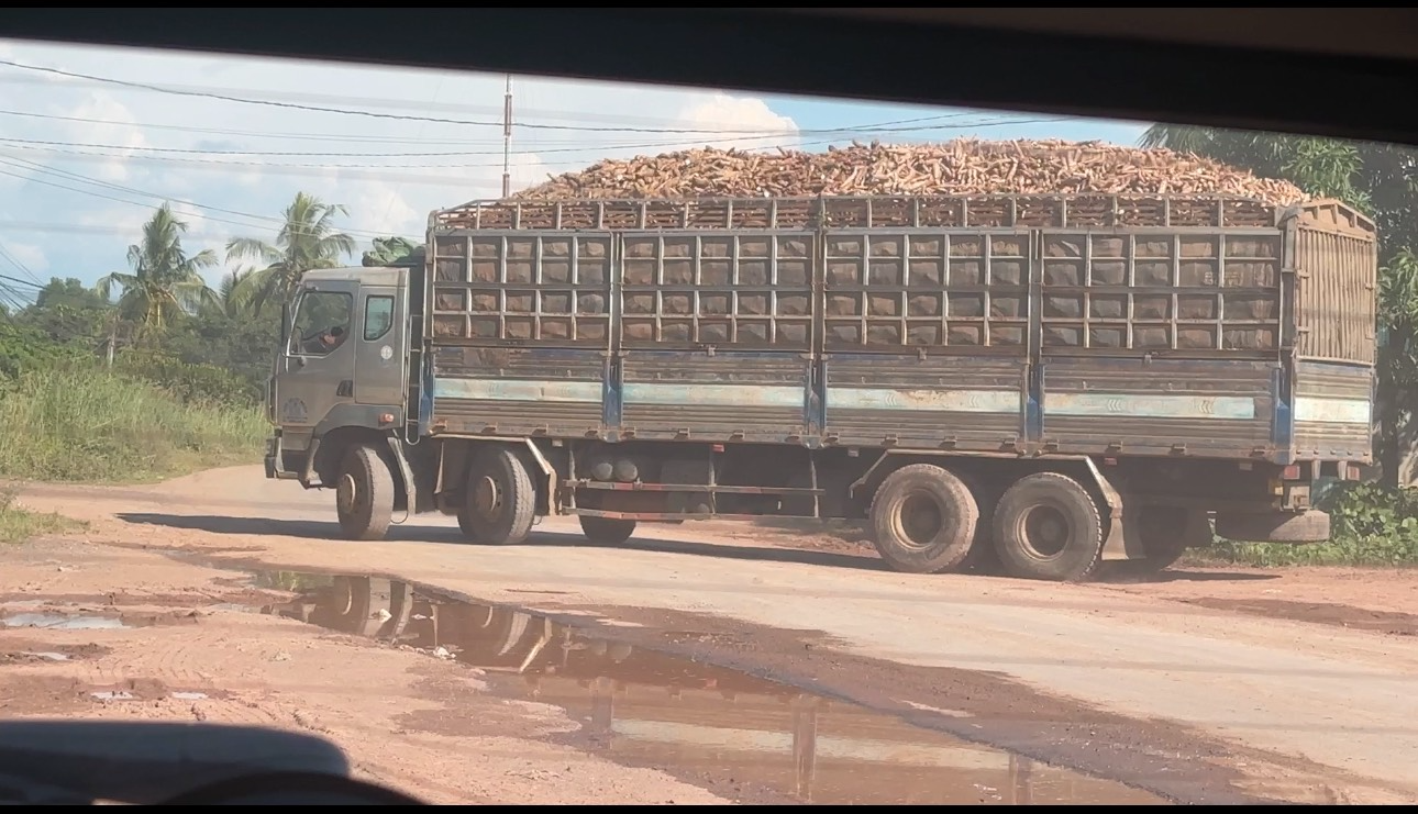 Dàn xe chở mì quá tải, quá khổ vô tư cày nát đường liên huyện có tải trọng 13 tấn ở Đắk Lắk - Ảnh 1.