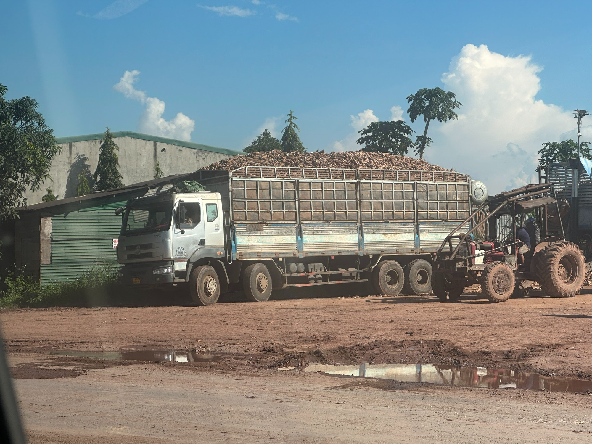 Dàn xe chở mì quá tải, quá khổ vô tư cày nát đường liên huyện có tải trọng 13 tấn ở Đắk Lắk - Ảnh 7.