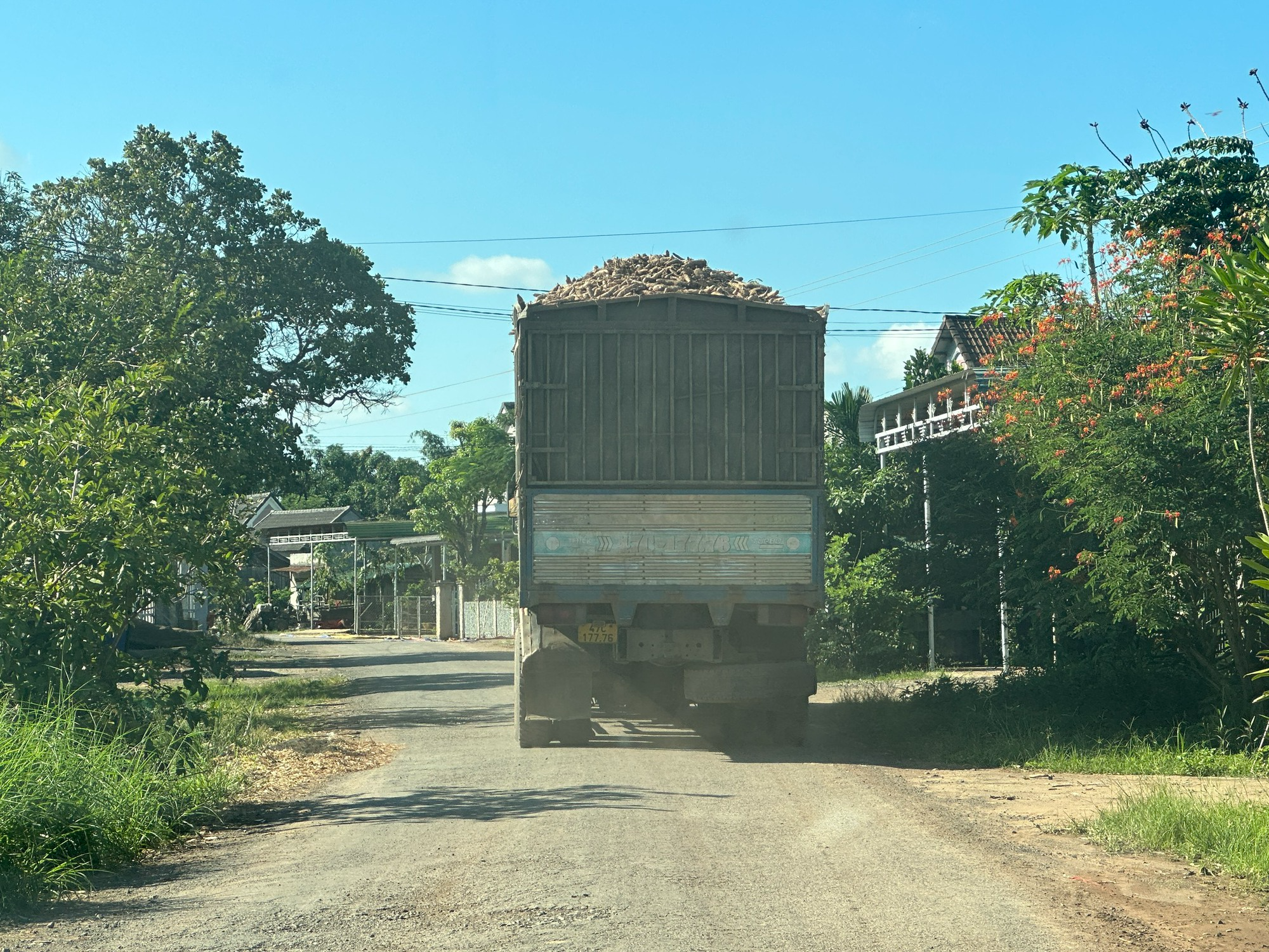 Dàn xe chở mì quá tải, quá khổ vô tư cày nát đường liên huyện có tải trọng 13 tấn ở Đắk Lắk - Ảnh 8.