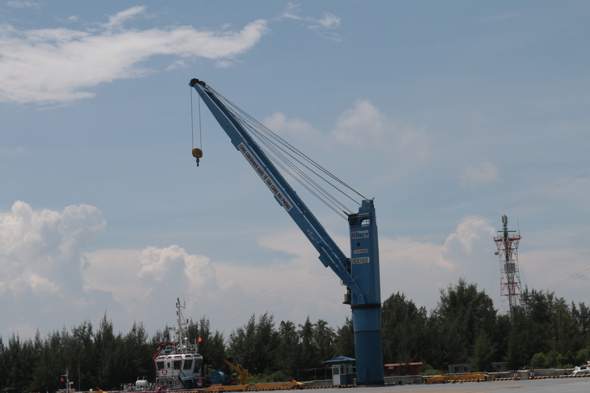 Video cận cảnh cảng TC-HICT ở Lạch Huyện sắp được đón tàu đến 145.000 DWT- Ảnh 2.
