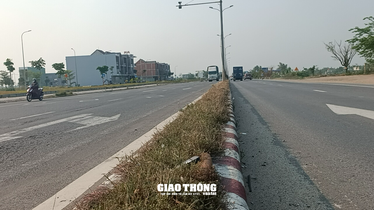 Hàng loạt cây xanh, thảm cỏ trên các tuyến đường ở Quảng Nam chết cháy - Ảnh 4.