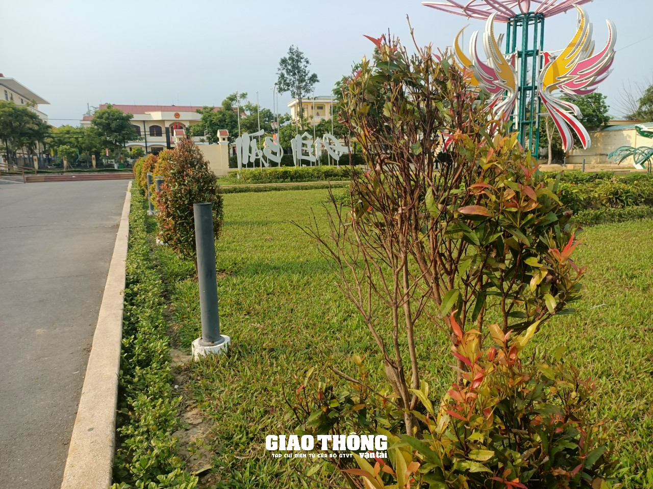 Hàng loạt cây xanh, thảm cỏ trên các tuyến đường ở Quảng Nam chết cháy - Ảnh 8.