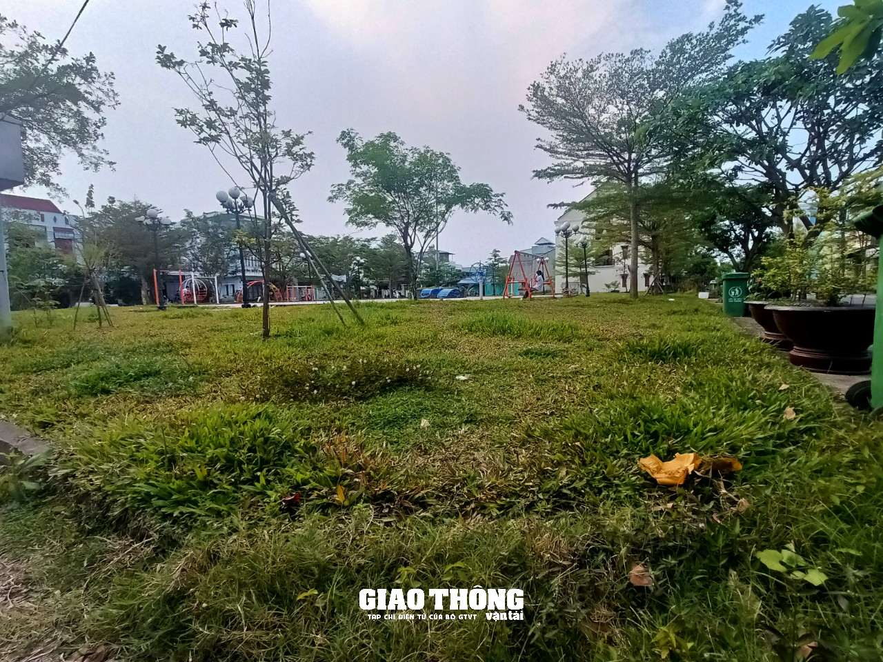 Hàng loạt cây xanh, thảm cỏ trên các tuyến đường ở Quảng Nam chết cháy - Ảnh 10.