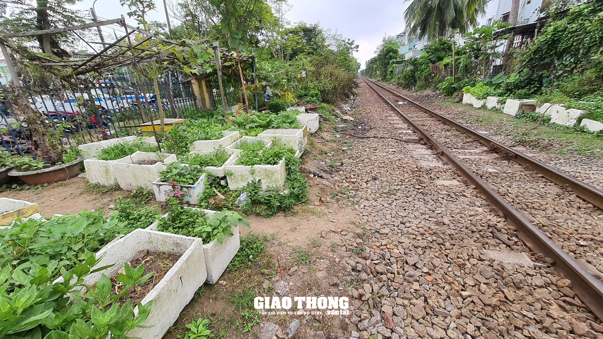 Nỗ lực giải tỏa hành lang an toàn giao thông đường sắt qua Đà Nẵng - Ảnh 5.