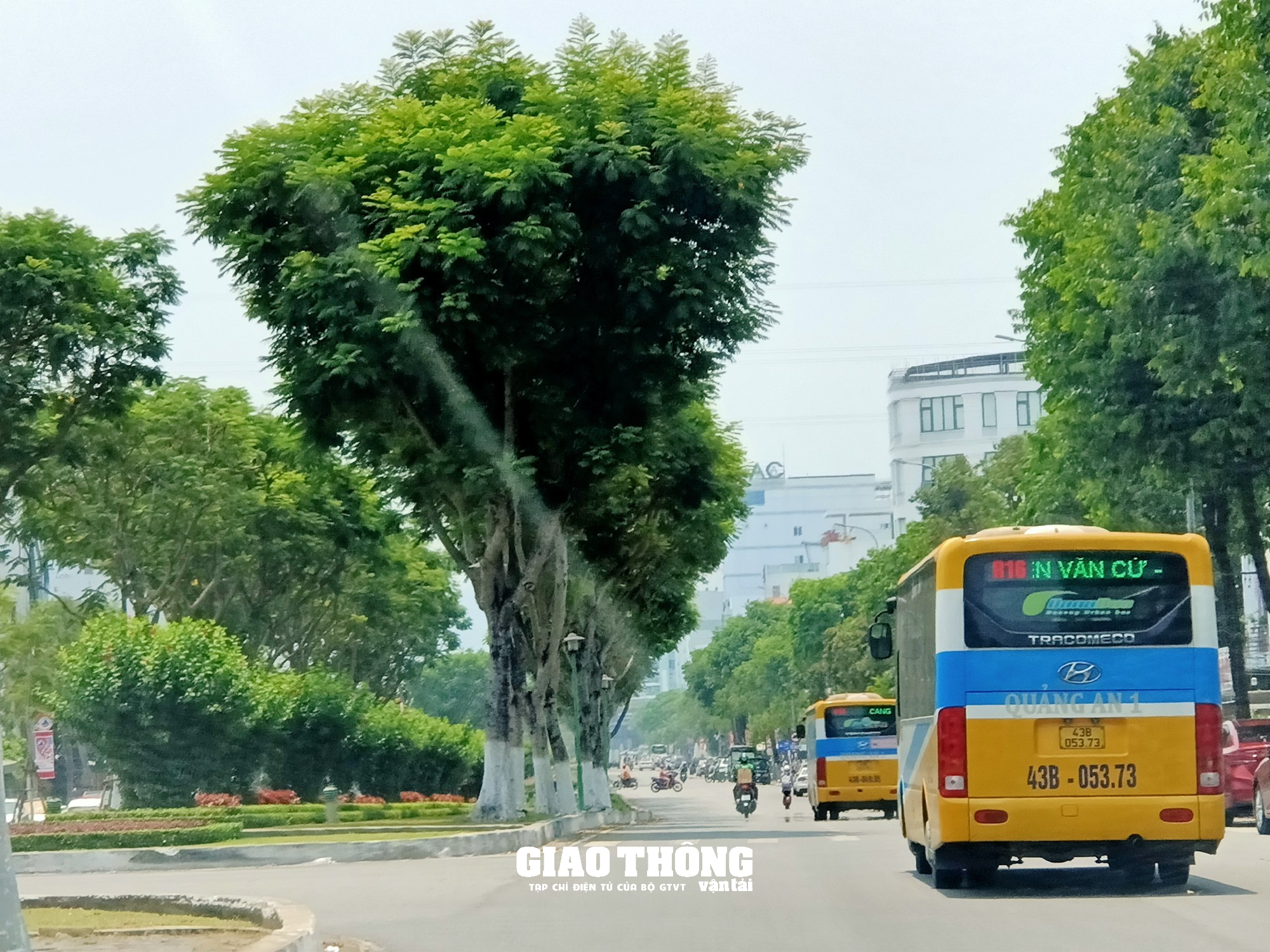 Đà Nẵng: Nhức nhối nạn ô tô con dừng, đỗ lấn chiếm điểm đón, trả khách xe buýt - Ảnh 12.