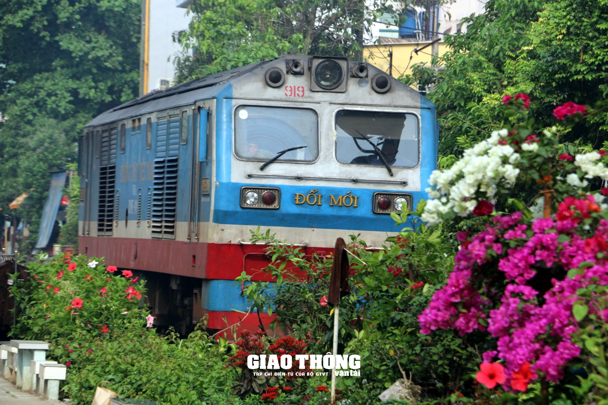 Cận cảnh &quot;Đường tàu, đường hoa&quot; khu vực ga Đà Nẵng - Ảnh 14.