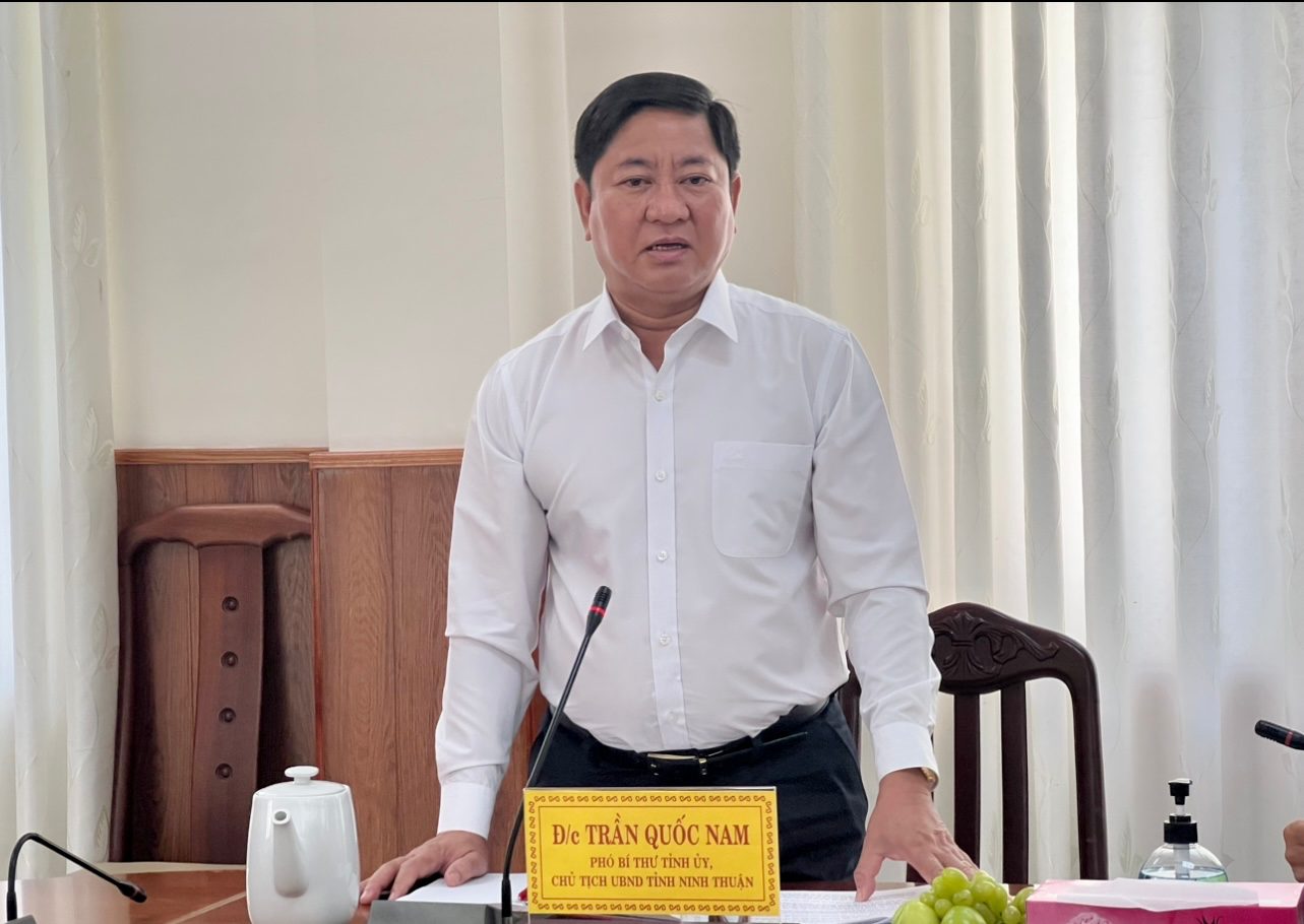 Ninh Thuận kiến nghị sớm quy hoạch sân bay Thành Sơn và khu bến Cảng Cà Ná - Ảnh 2.