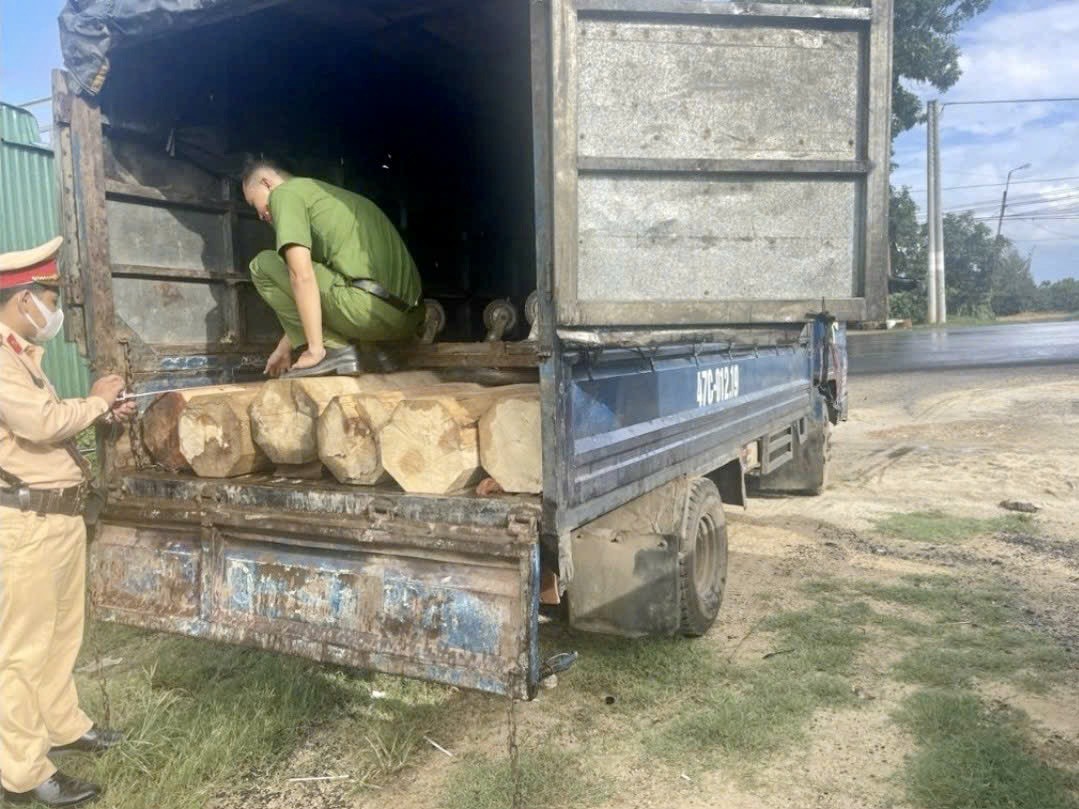 Kiểm tra xe tải có dấu hiệu vi phạm trên QL26, CSGT Đắk Lắk phát hiện gỗ lậu - Ảnh 1.