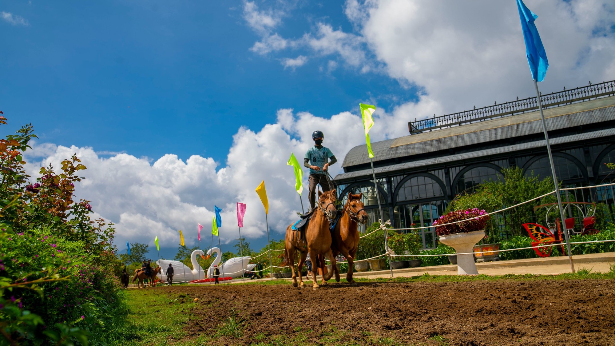 Độc đáo chương trình thao diễn ngựa “Hào khí Tây Bắc” tại Sun World Fansipan Legend tới hết 29/7 - Ảnh 4.