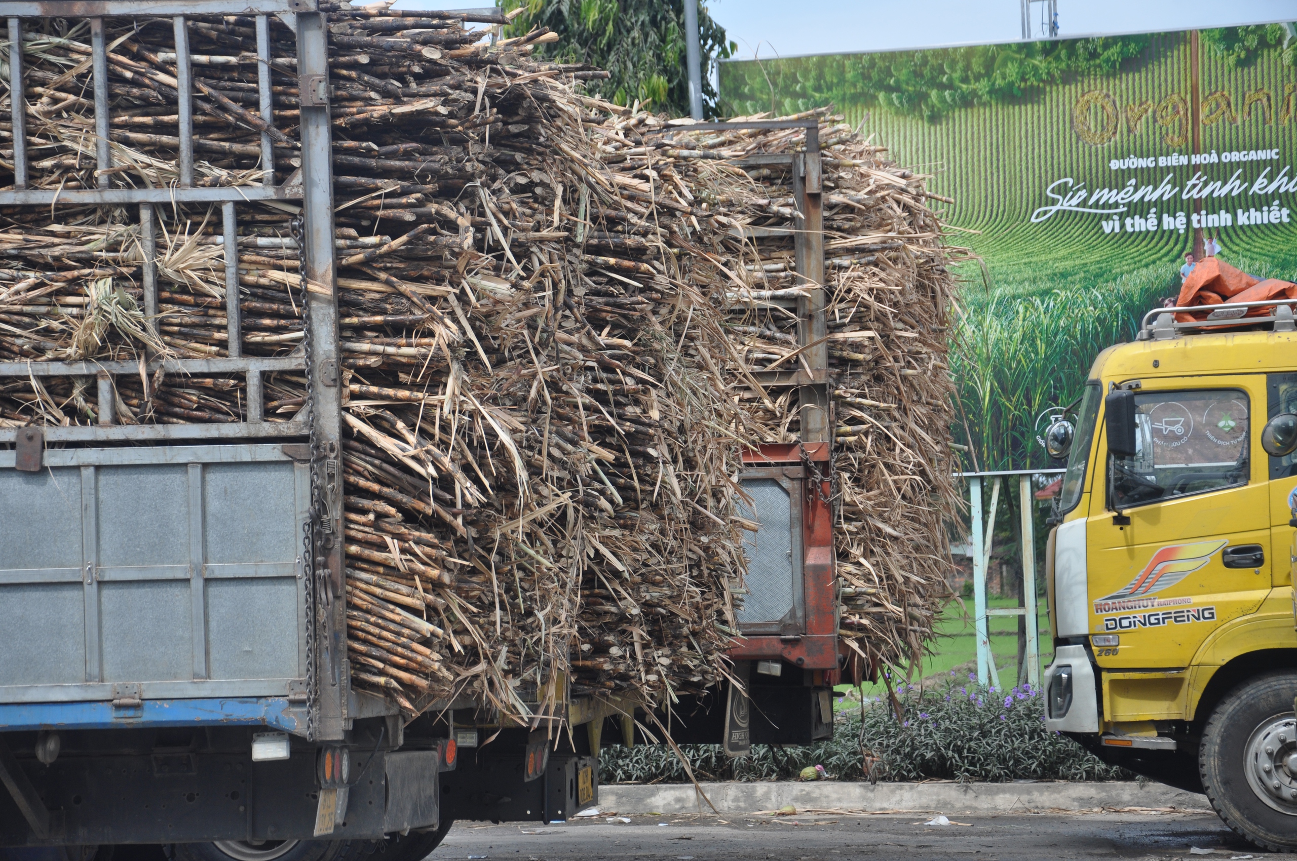 Giải pháp kiềm chế xe chở mía quá khổ, quá tải ở Gia Lai- Ảnh 17.