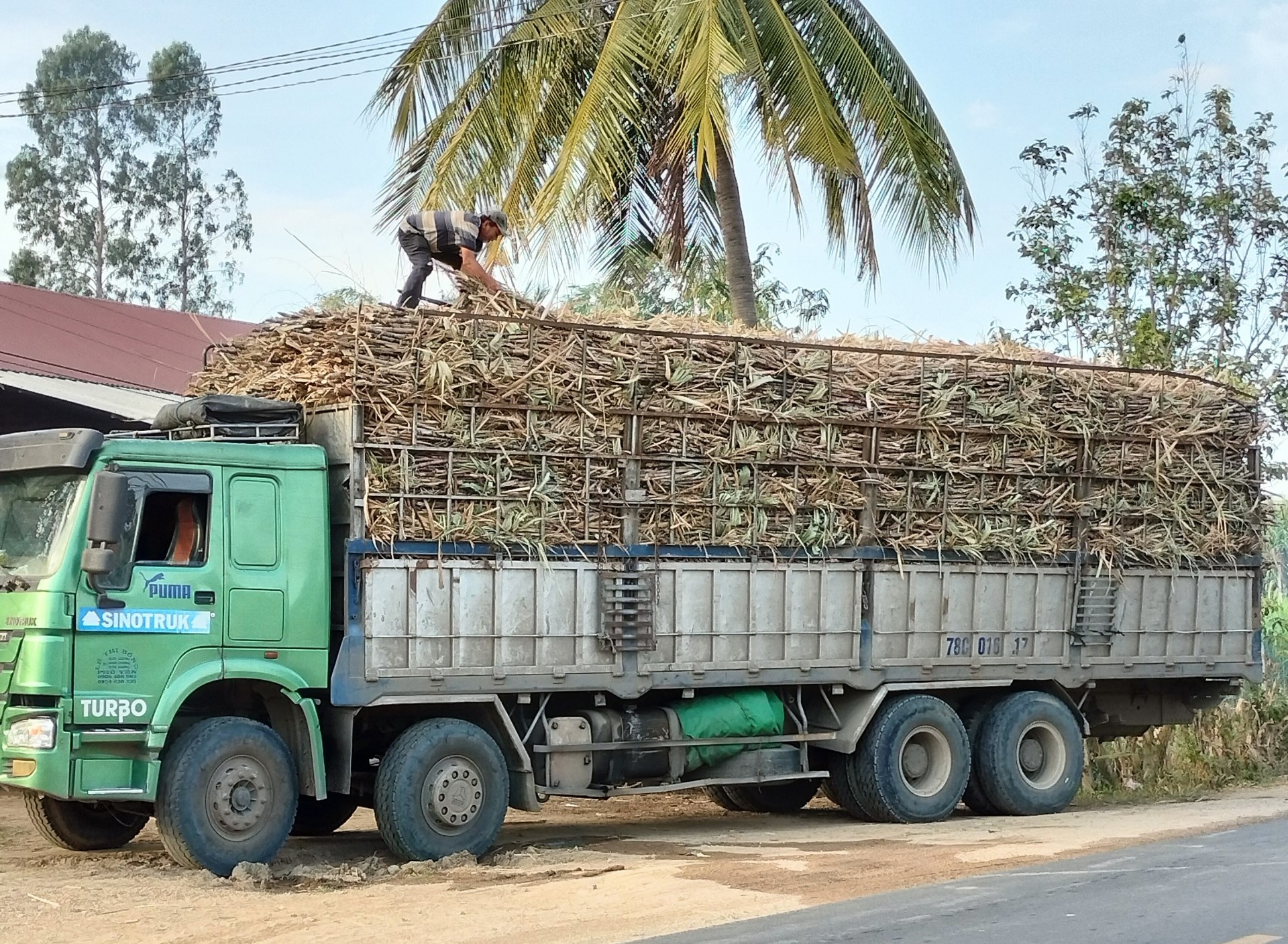 Giải pháp kiềm chế xe chở mía quá khổ, quá tải ở Gia Lai- Ảnh 14.