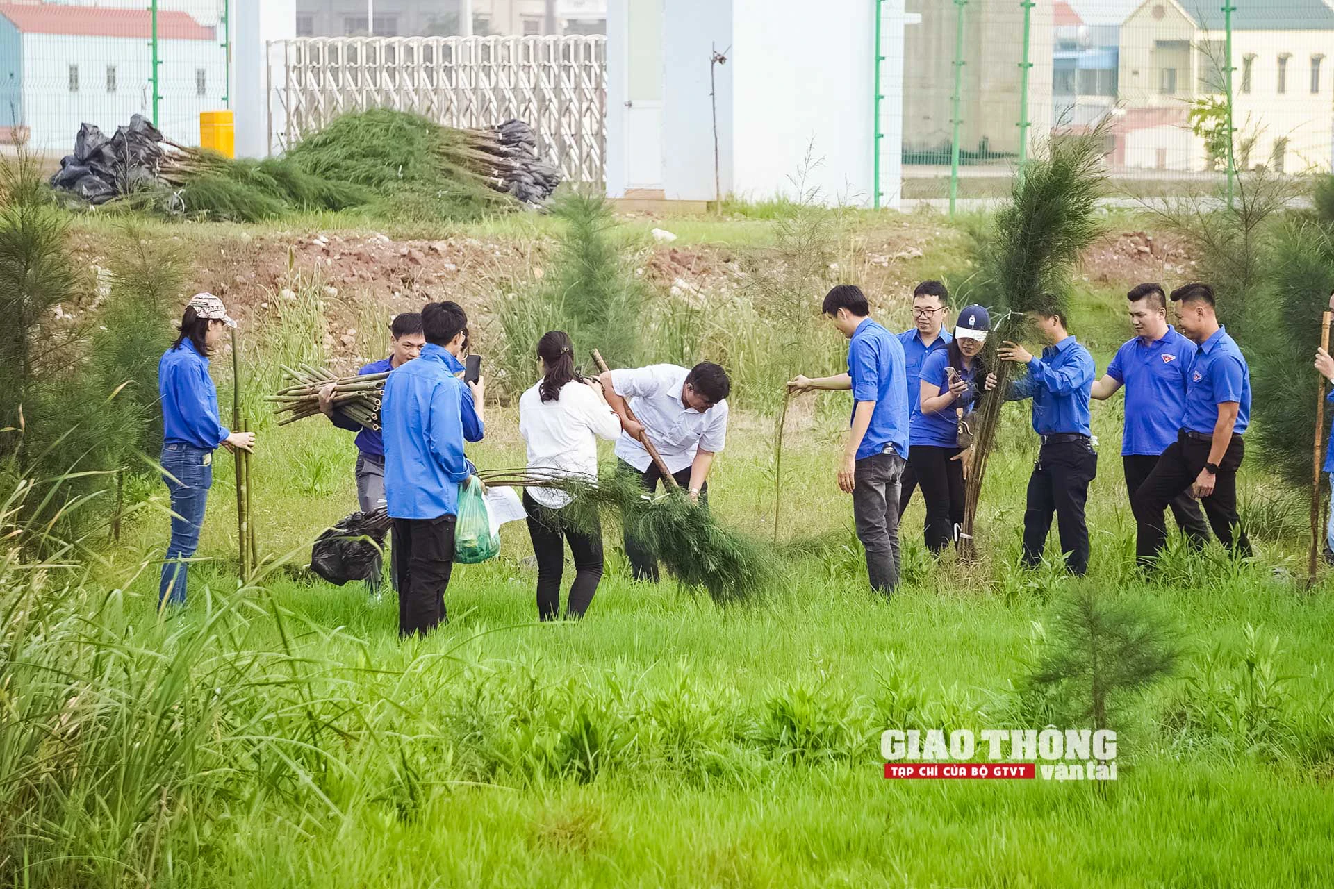 Tuổi trẻ ngành GTVT trồng cây xanh, xây nhà nhân ái ở Nam Định- Ảnh 21.