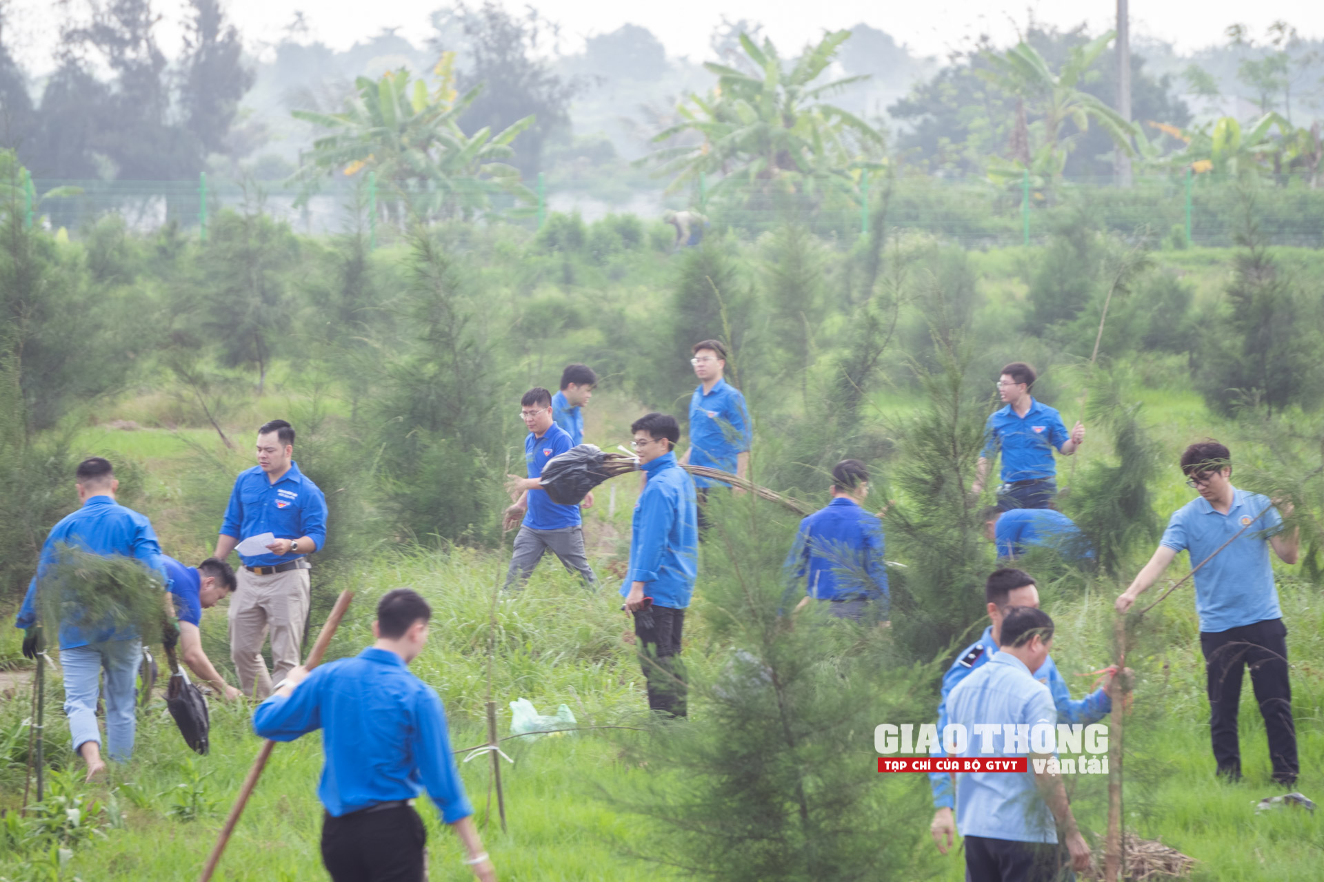 Tuổi trẻ ngành GTVT trồng cây xanh, xây nhà nhân ái ở Nam Định- Ảnh 22.