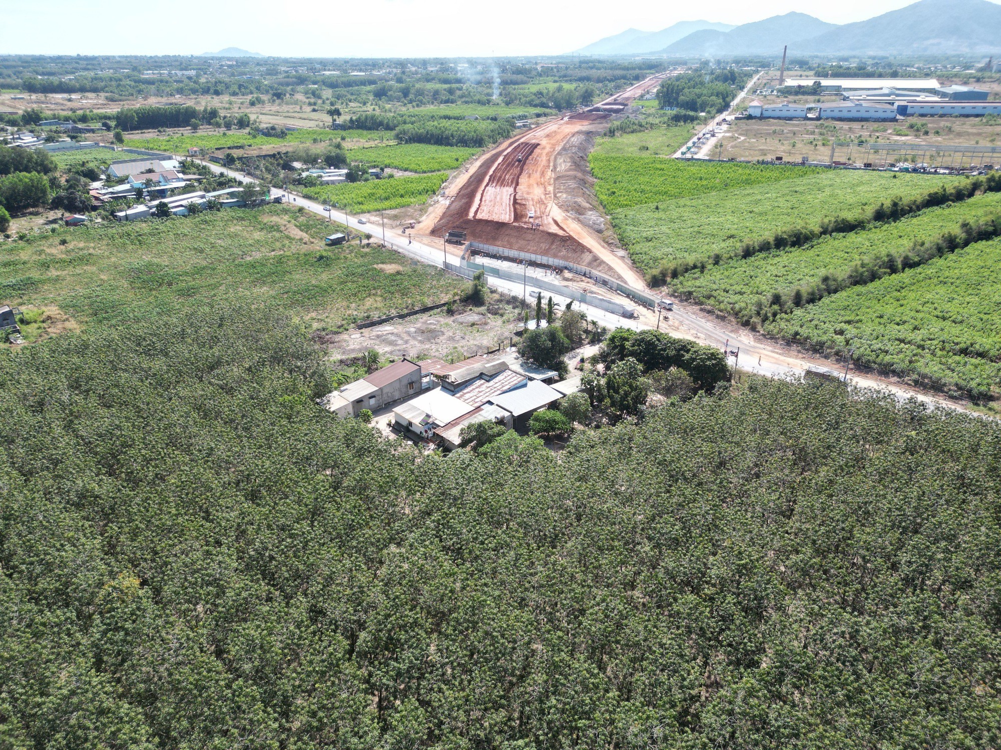 Kiến nghị lấy đất sân bay Long Thành đắp cao tốc Biên Hòa - Vũng Tàu- Ảnh 2.