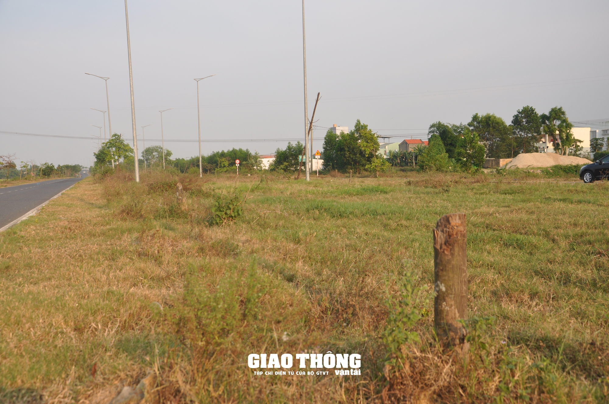Cây xanh chết khô hàng loạt trên đường 500 tỷ ở Đà Nẵng- Ảnh 3.