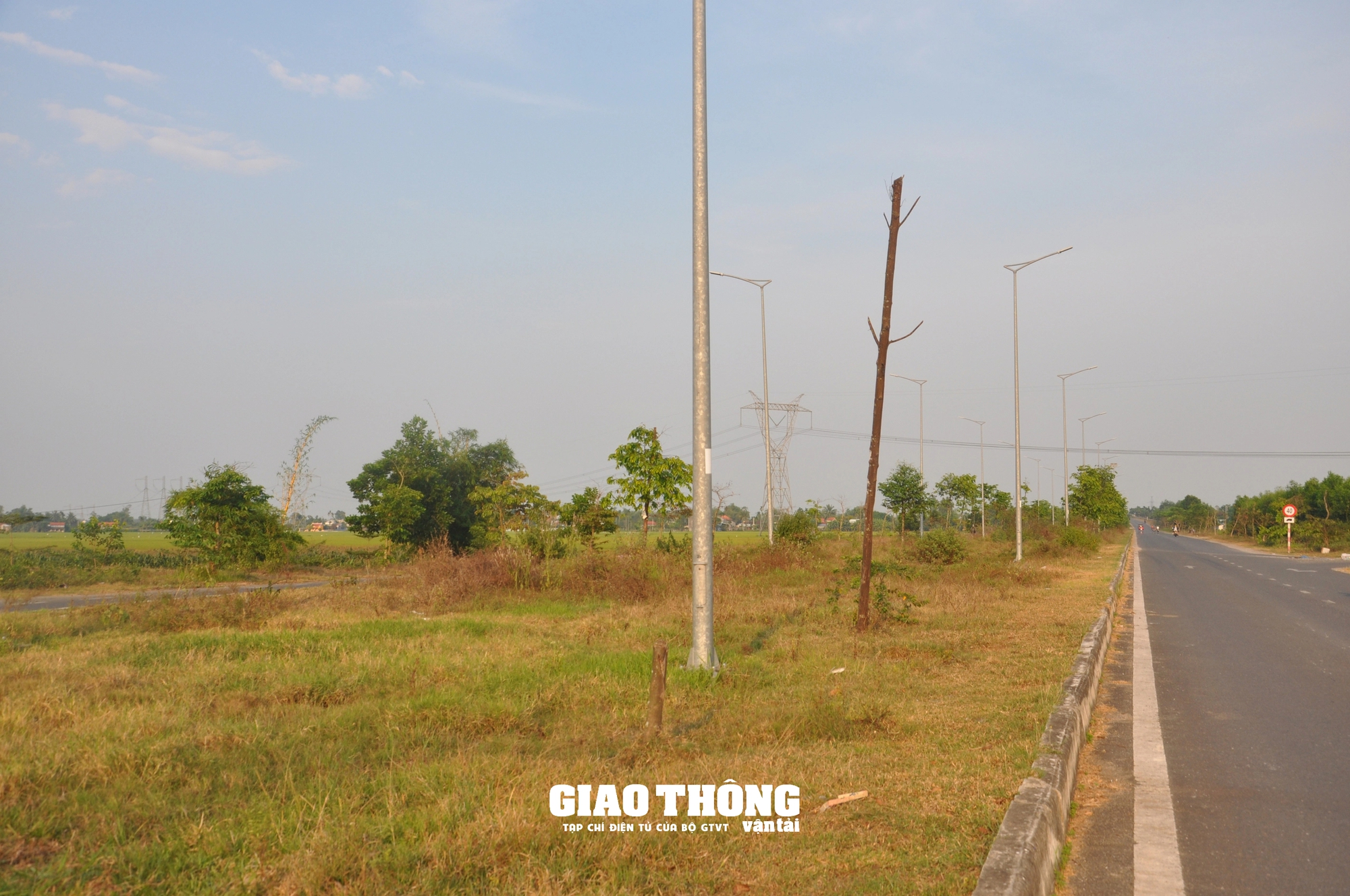 Vụ cây xanh chết khô hàng loạt trên đường 500 tỷ ở Đà Nẵng: Ai chịu trách nhiệm?- Ảnh 9.