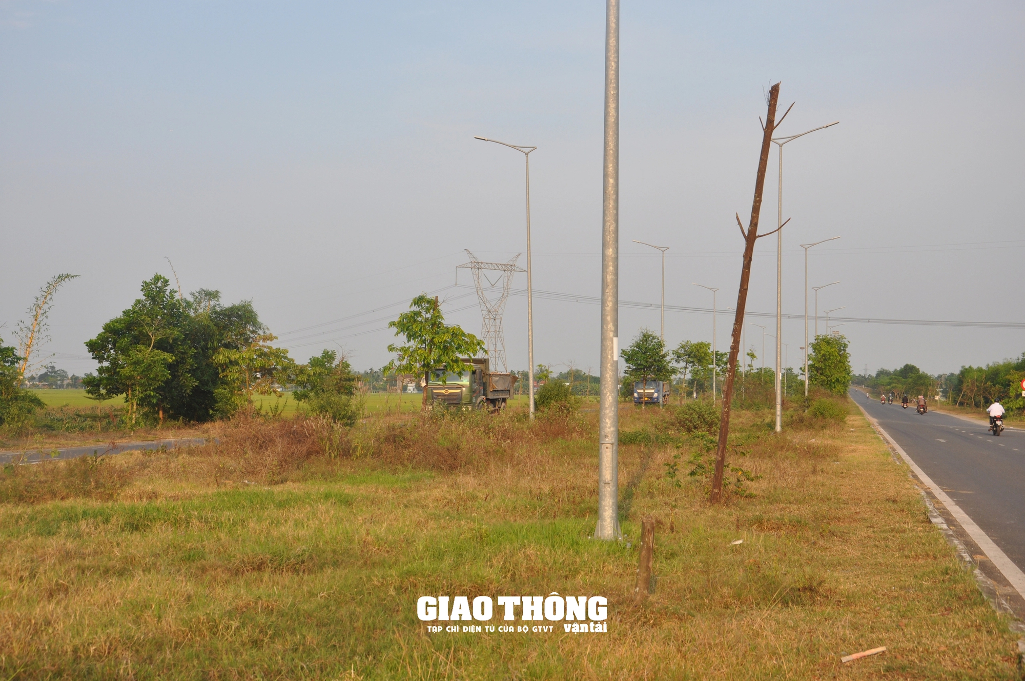 Vụ cây xanh chết khô hàng loạt trên đường 500 tỷ ở Đà Nẵng: Ai chịu trách nhiệm?- Ảnh 18.