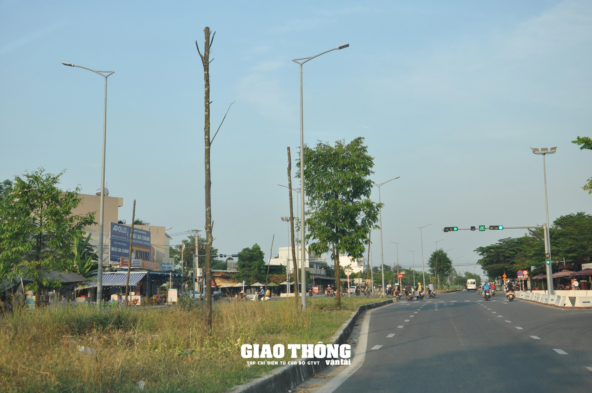 Vụ cây xanh chết khô hàng loạt trên đường 500 tỷ ở Đà Nẵng: Ai chịu trách nhiệm?- Ảnh 11.