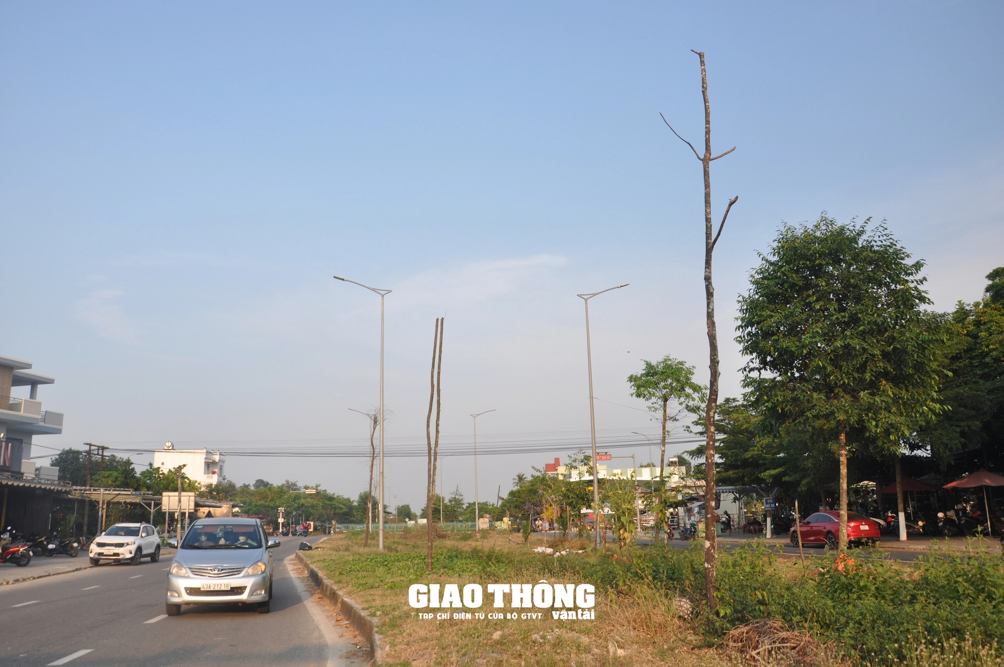 Vụ cây xanh chết khô hàng loạt trên đường 500 tỷ ở Đà Nẵng: Ai chịu trách nhiệm?- Ảnh 10.