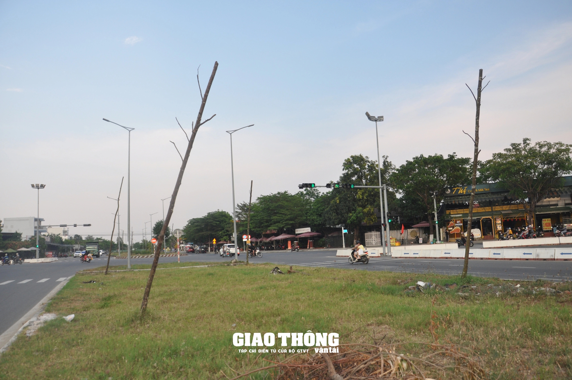 Vụ cây xanh chết khô hàng loạt trên đường 500 tỷ ở Đà Nẵng: Ai chịu trách nhiệm?- Ảnh 13.