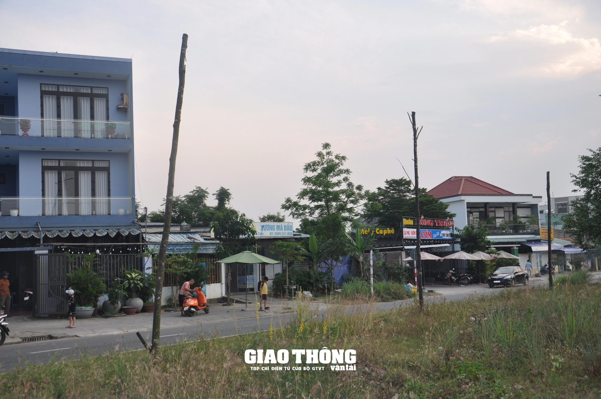 Vụ cây xanh chết khô hàng loạt trên đường 500 tỷ ở Đà Nẵng: Ai chịu trách nhiệm?- Ảnh 7.
