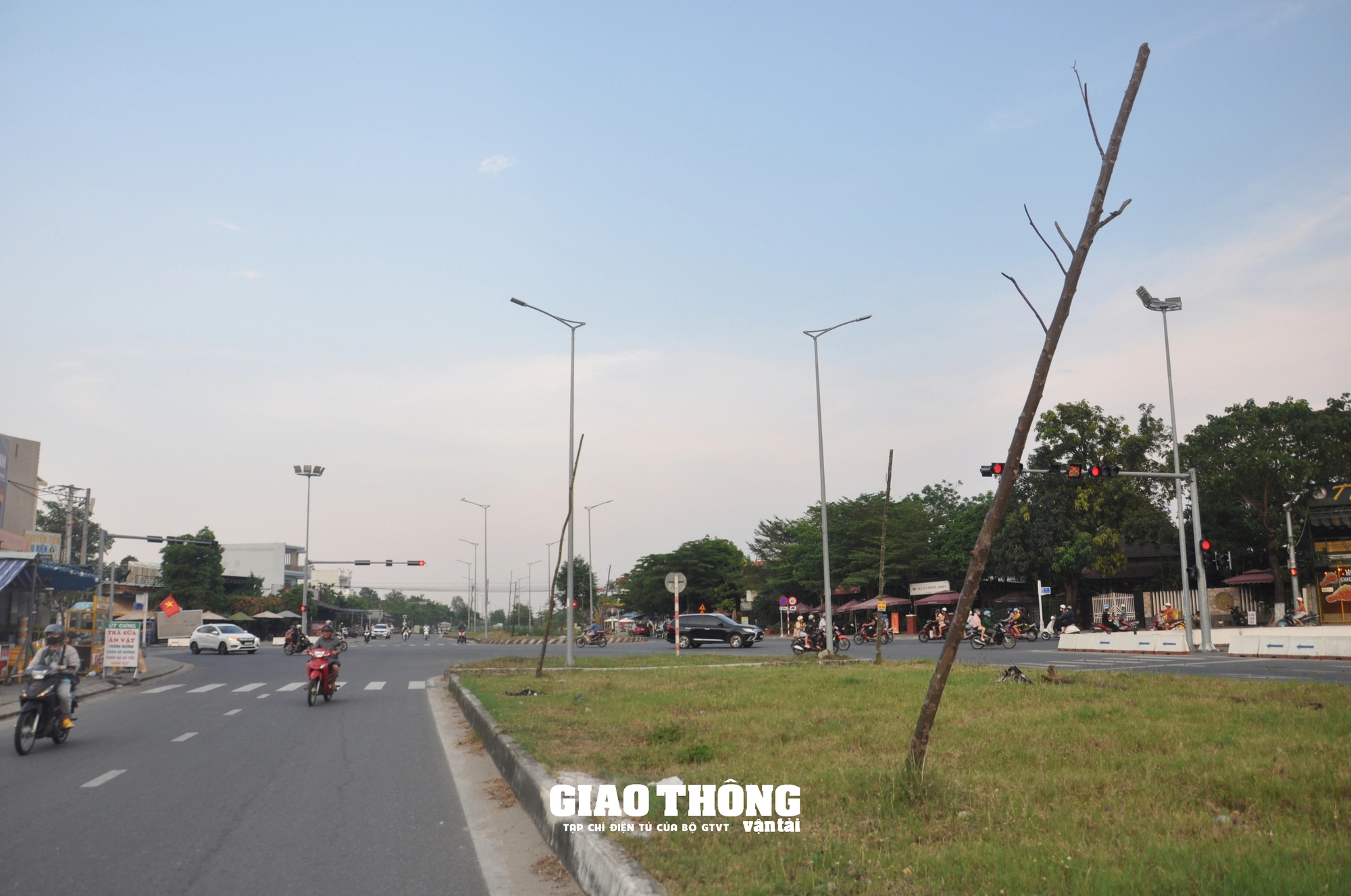 Vụ cây xanh chết khô hàng loạt trên đường 500 tỷ ở Đà Nẵng: Ai chịu trách nhiệm?- Ảnh 6.