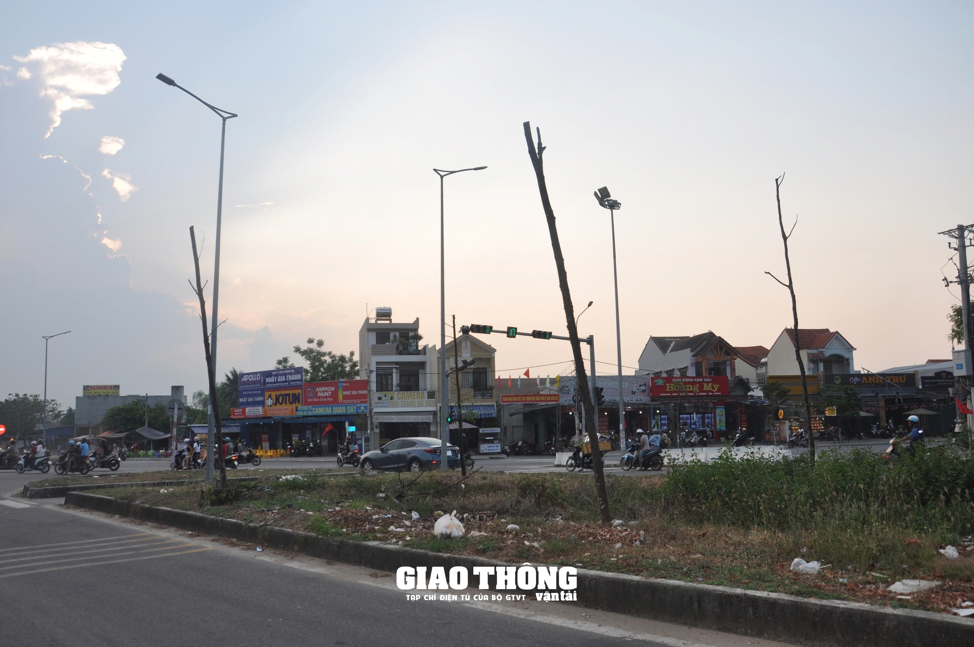 Vụ cây xanh chết khô hàng loạt trên đường 500 tỷ ở Đà Nẵng: Ai chịu trách nhiệm?- Ảnh 4.