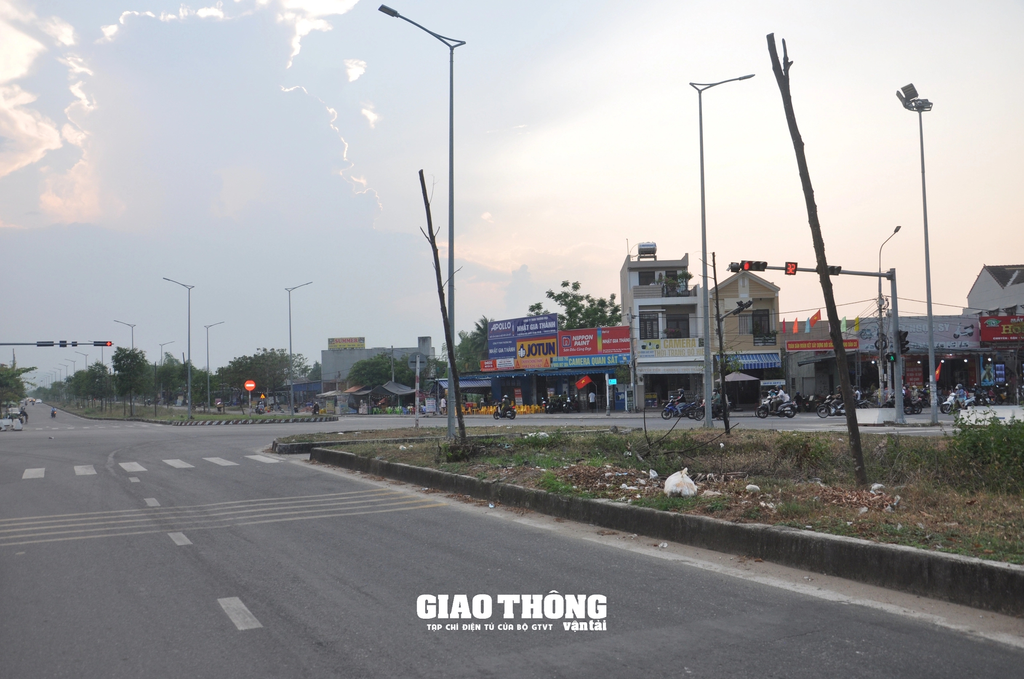 Vụ cây xanh chết khô hàng loạt trên đường 500 tỷ ở Đà Nẵng: Ai chịu trách nhiệm?- Ảnh 8.
