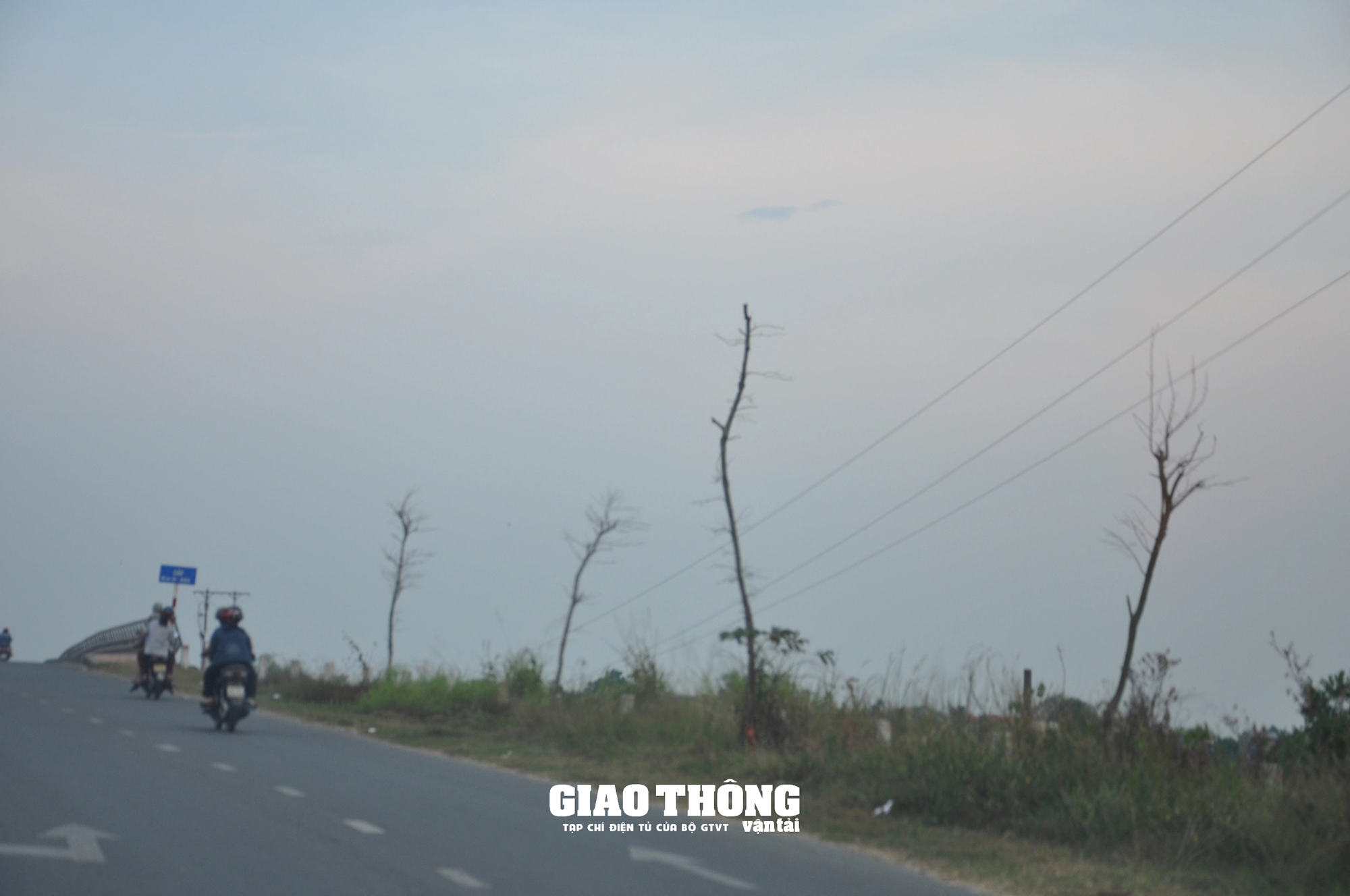 Vụ cây xanh chết khô hàng loạt trên đường 500 tỷ ở Đà Nẵng: Ai chịu trách nhiệm?- Ảnh 2.