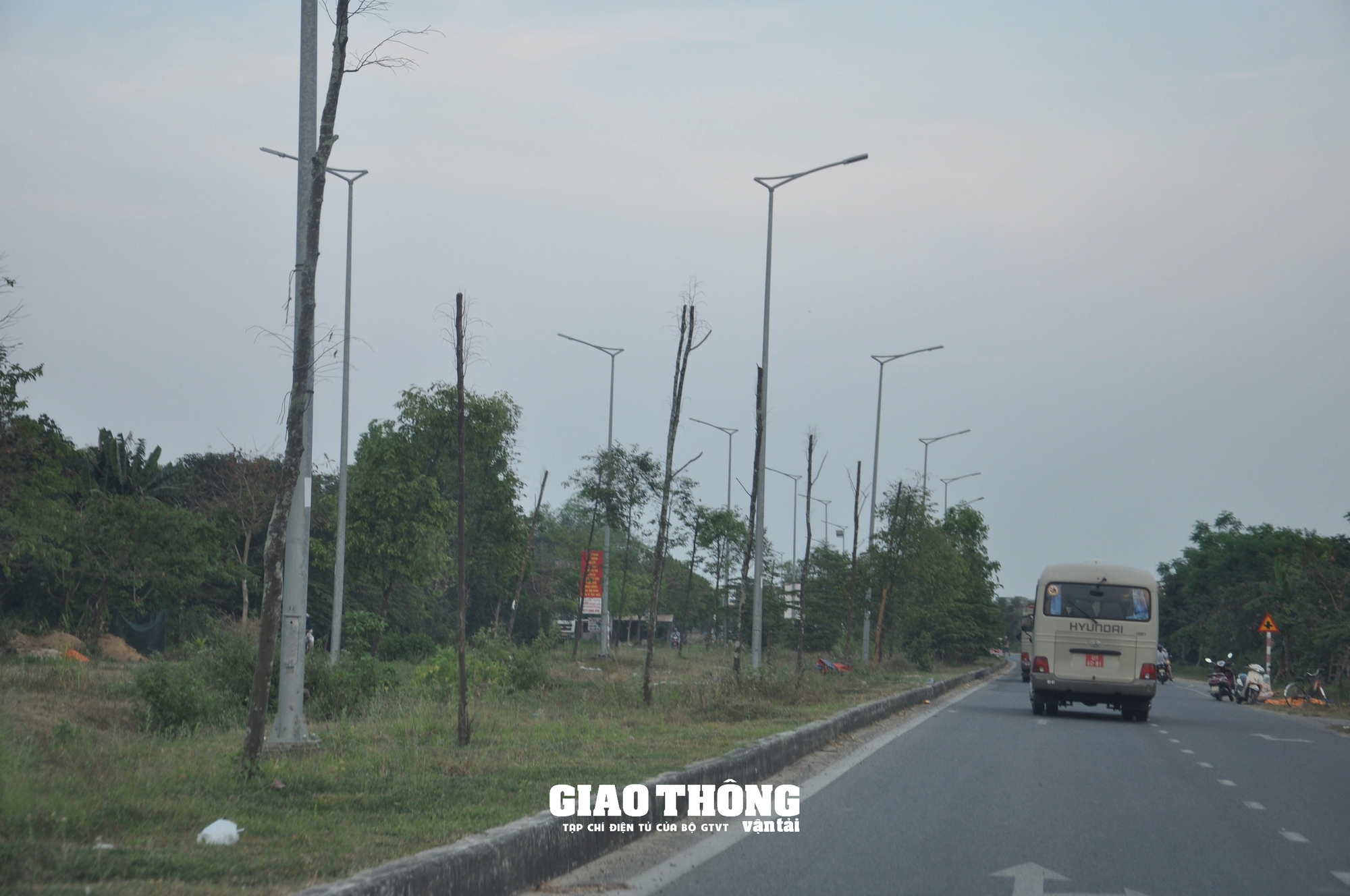 Vụ cây xanh chết khô hàng loạt trên đường 500 tỷ ở Đà Nẵng: Ai chịu trách nhiệm?- Ảnh 5.