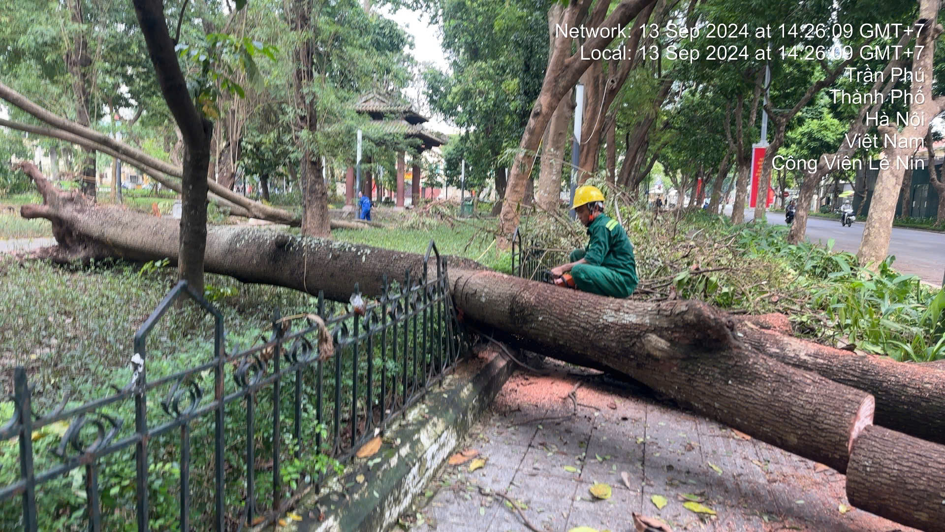 Sẵn sàng tăng ca làm đêm, hỗ trợ Hà Nội giải tỏa cây xanh ngã đổ, đảm bảo giao thông sau bão số 3 - Ảnh 1.