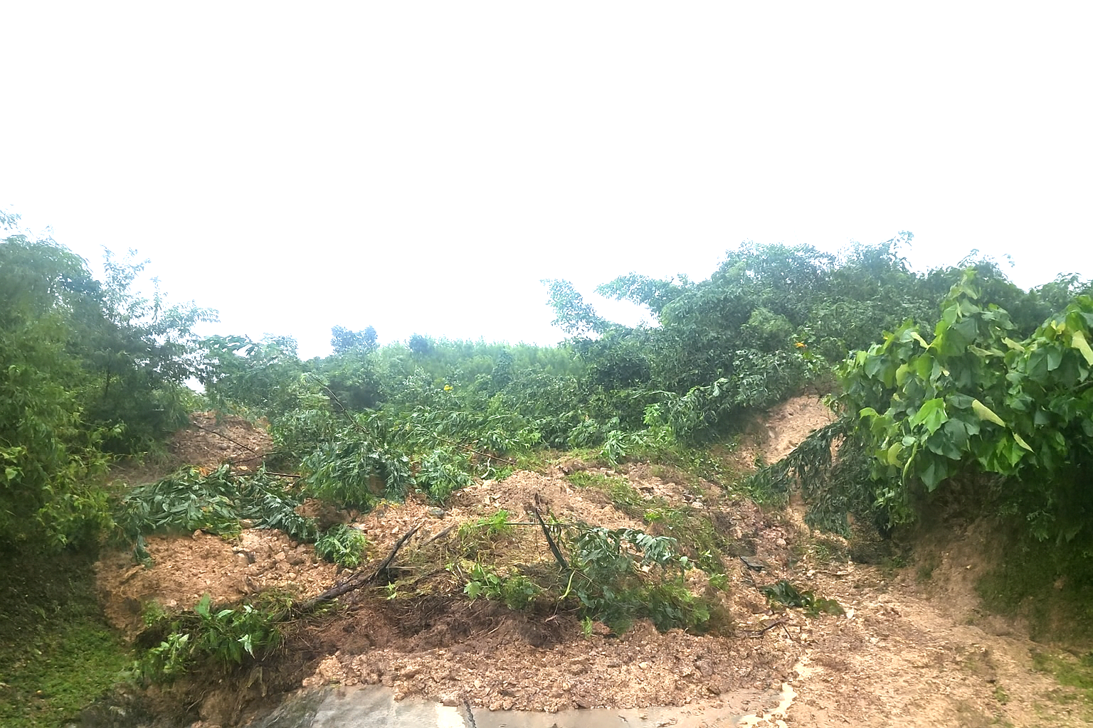 Đà Nẵng: Tuyến đường Trường Sơn Đông, Hồ Chí Minh tiếp tục sạt lở đất, giao thông bị tắc hoàn toàn- Ảnh 1. Đà Nẵng: Tuyến đường Trường Sơn Đông, Hồ Chí Minh tiếp tục sạt lở đất, giao thông bị tắc hoàn toàn- Ảnh 1.