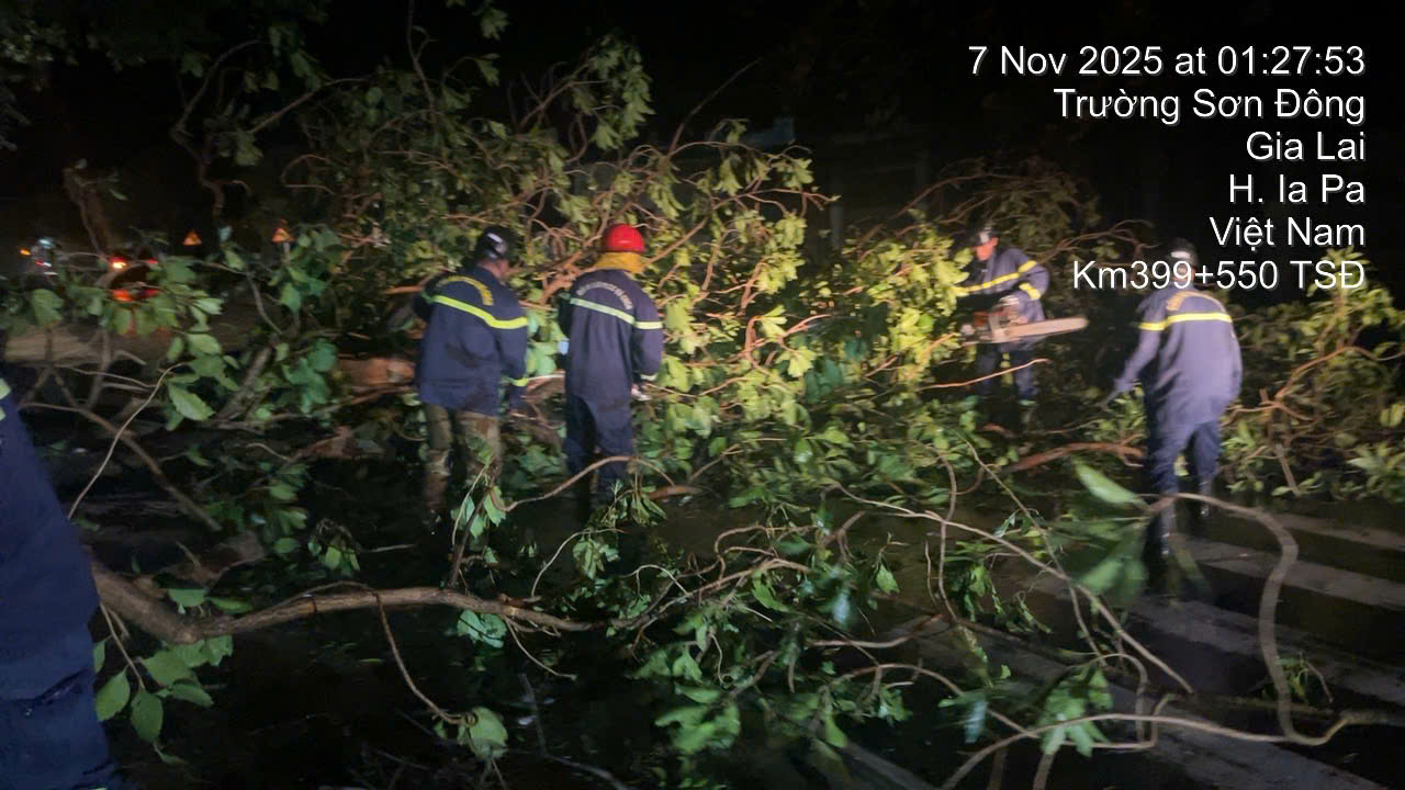 Video: Trắng đêm khắc phục hậu quả bão số 13, đảm bảo giao thông- Ảnh 1. Video: Trắng đêm khắc phục hậu quả bão số 13, đảm bảo giao thông- Ảnh 1.