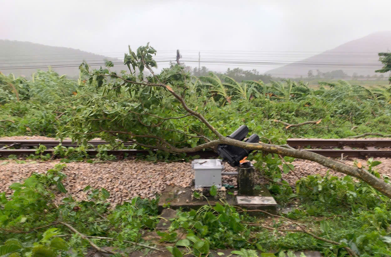 Công ty CP TTTH đường sắt Vinh: Chủ động, nỗ lực giữ vững thông tin liên lạc đường sắt trong mọi tình huống thiên tai - Ảnh 4.