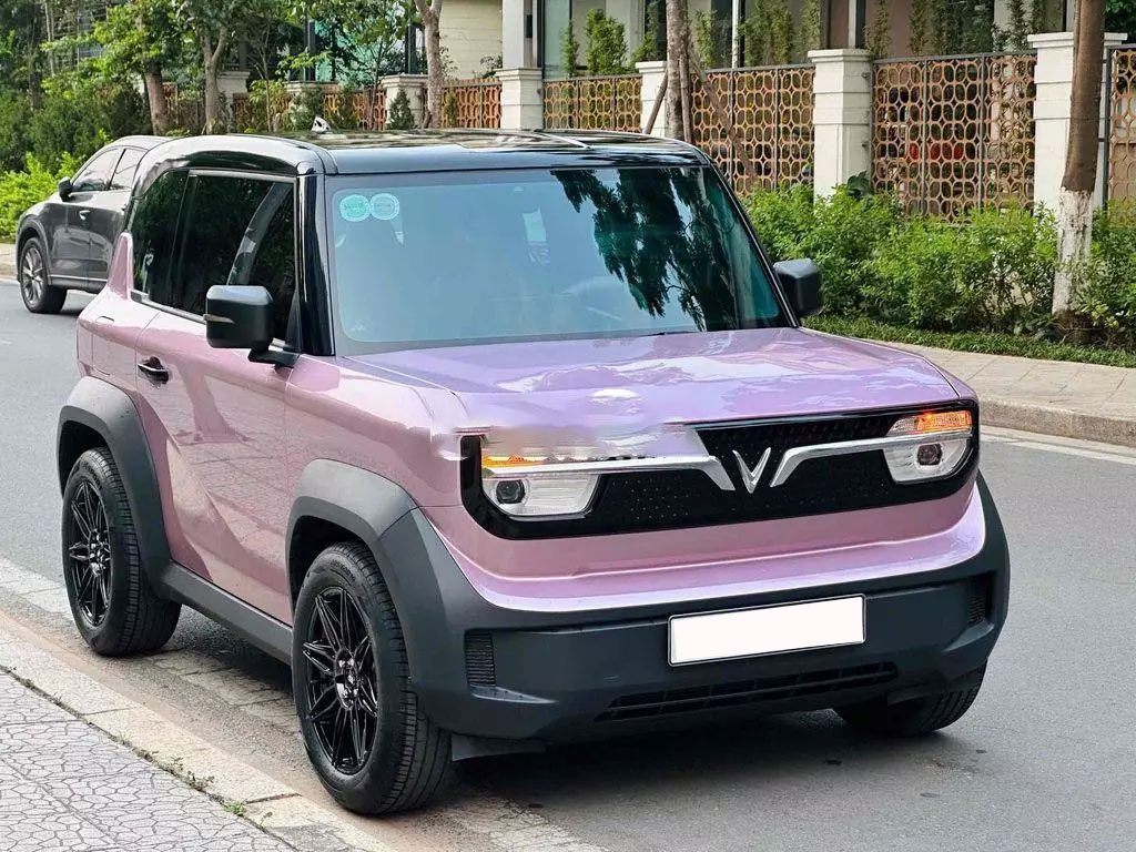VinFast VF3 độ cả trăm triệu phụ kiện, lăn bánh 500 km đã bán - Ảnh 1.