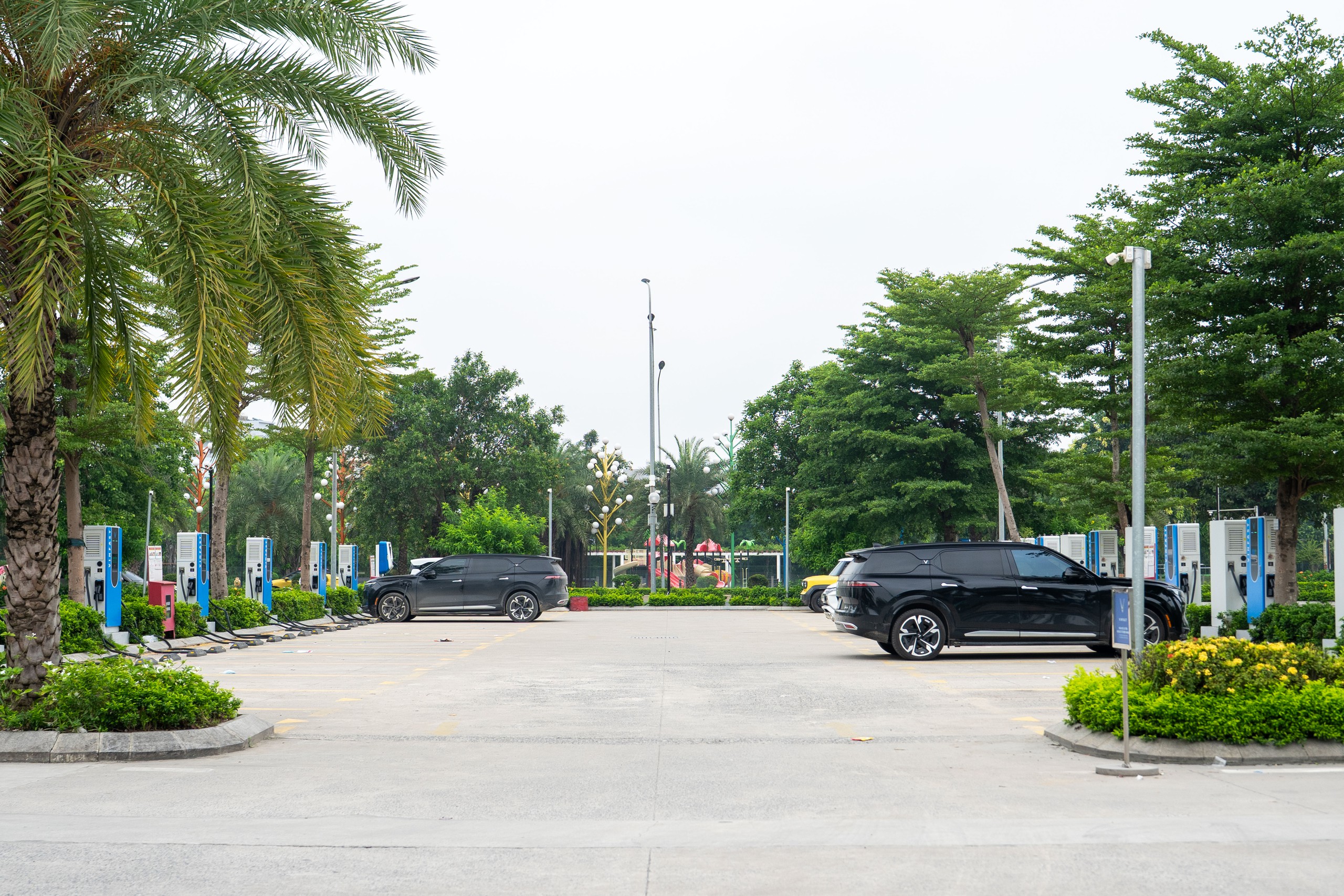 Bài học cho Việt Nam - Ảnh 4.