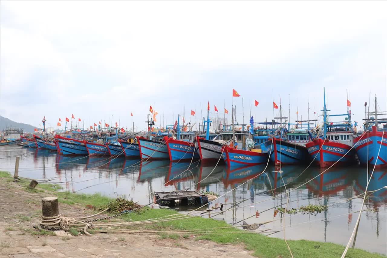 Tập trung chủ động ứng phó với bão số 10 - Ảnh 1.