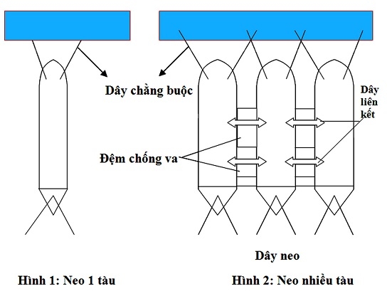 neo tau ca