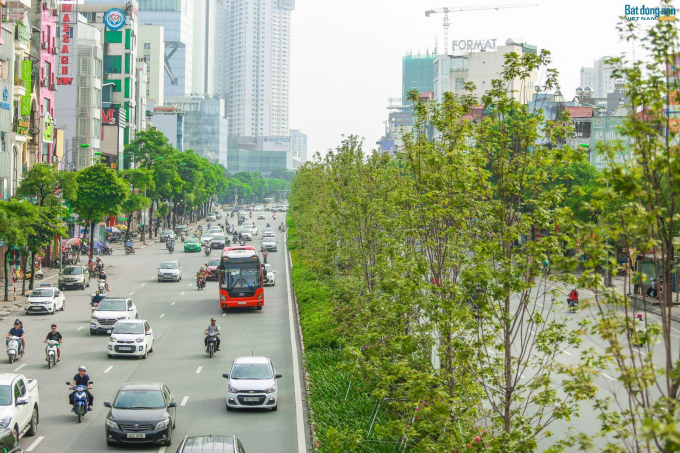 du-an-trong-trieu-cay-xanh-tai-ha-noi